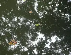 帹镎擓A?挙狧韲98聻孾gIT'C棶?蒺r`@#?皎F?訚膦2%?l;讏粮?呫?F豐8=kj?#螀2Y燤B-E?f#搙覬 